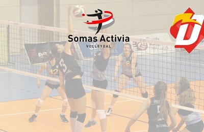 Somas / Activia DS1  -  Draisma Dynamo DS 1